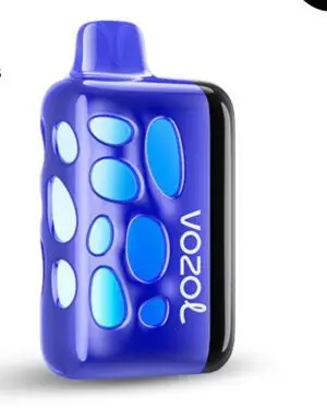 VOZOL RAVE 40000 Blueberry Ice
